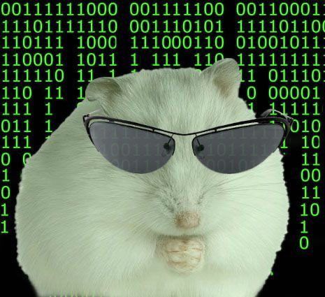 [TEST] Ocean Soldier POAP image