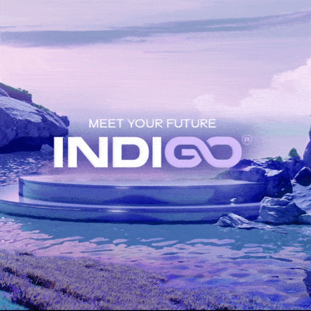 1st INDIGO EVENT POAP image