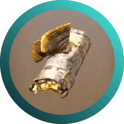 Drop #214797: Trametes versicolor - Cola de Pavo. Aysén Futuro 2025. 4 y 5 de diciembre en el Centro Cultural de Coyhaique.