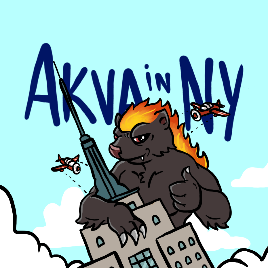 You met Akva in NYC POAP image