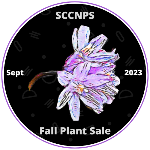 SCCNPS 01 POAP image