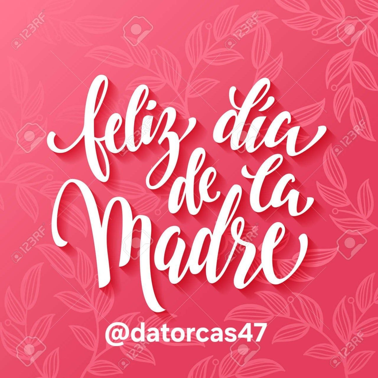 Drop #228272: MADRES2026