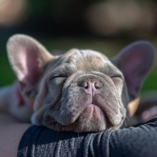 TEST - Location with iap POAP image