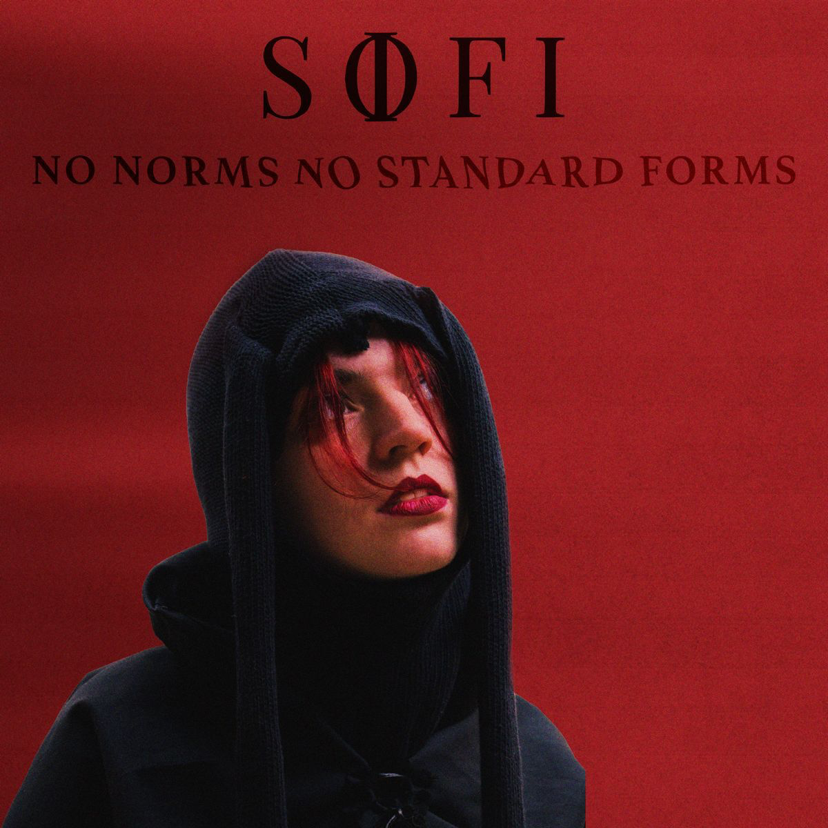 No Norms No Standard Forms [SφFI] POAP image