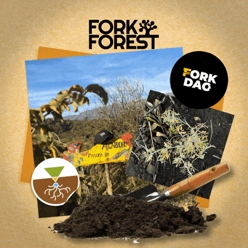 FORK FOREST LA PLANTACION POAP image