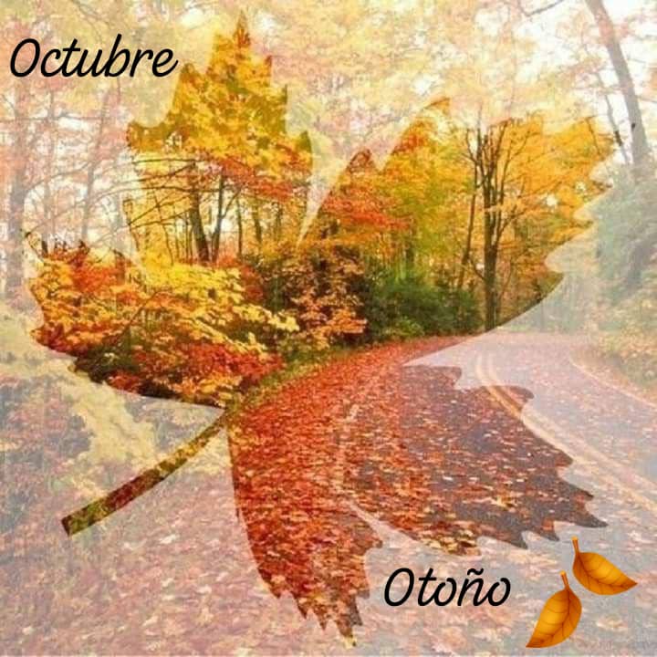 Octubre Otoño🍁🍂 POAP image