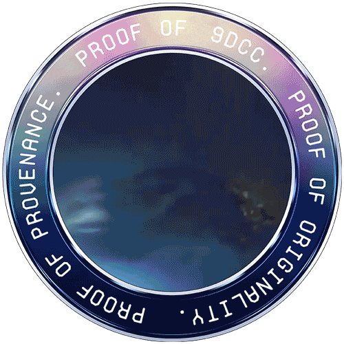 9dcc World Connect 01 IT-02 #0880 POAP image