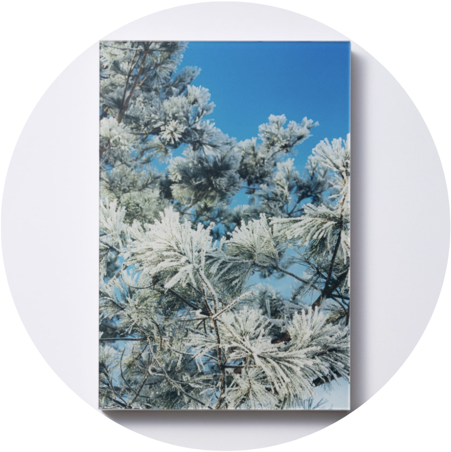 "A Wizard of Tono" Launch Party  POAP image