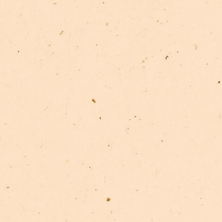 𝐀𝐏𝐔𝐁𝐂𝐂: 𝐑𝐞𝐝 𝐖𝐞𝐞𝐤 𝐀𝐮𝐠𝐮𝐬𝐭/𝟐𝟎𝟐𝟒 POAP image