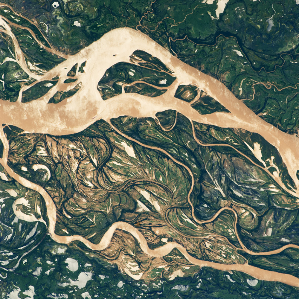 Club del Sur ✦ La Malparida POAP image