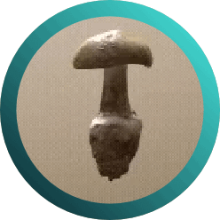 Drop #214798: Amanita diemii - Piojento blanco. Aysén Futuro 2025. 4y 5 de diciembre en el Centro Cultural de Coyhaique.