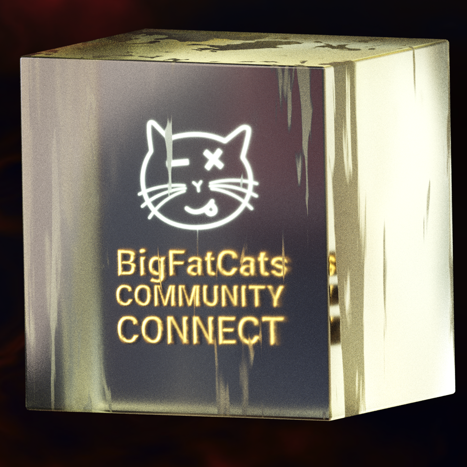 BFC Community Connect POAP image