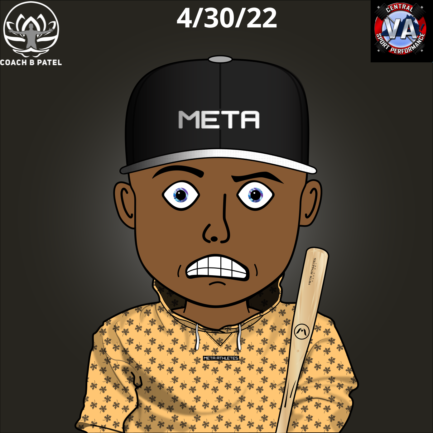 Brijesh Patel's Presentation at CVASP POAP image