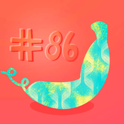 Drop #214624: Banano Sundays #86