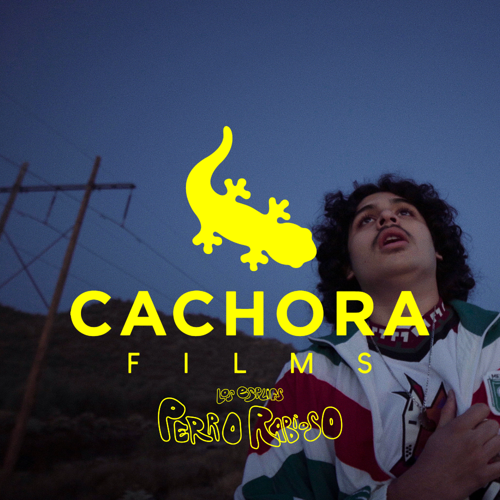 Cachora Films - Perro Rabioso POAP image