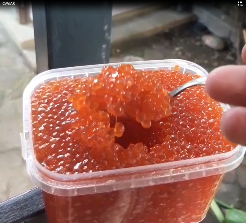 Caviar SQUAD 2022 POAP POAP image