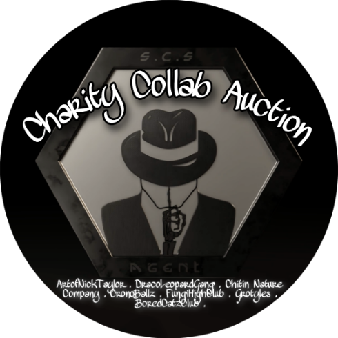 Community Gathering Charity auction POAP image