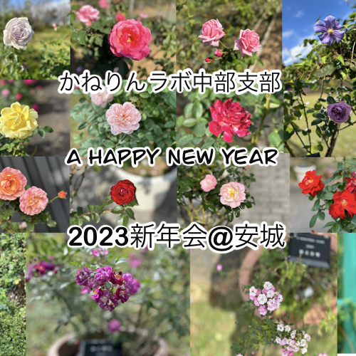 Crypto Bar Chubu in Anjo 20230108 POAP image