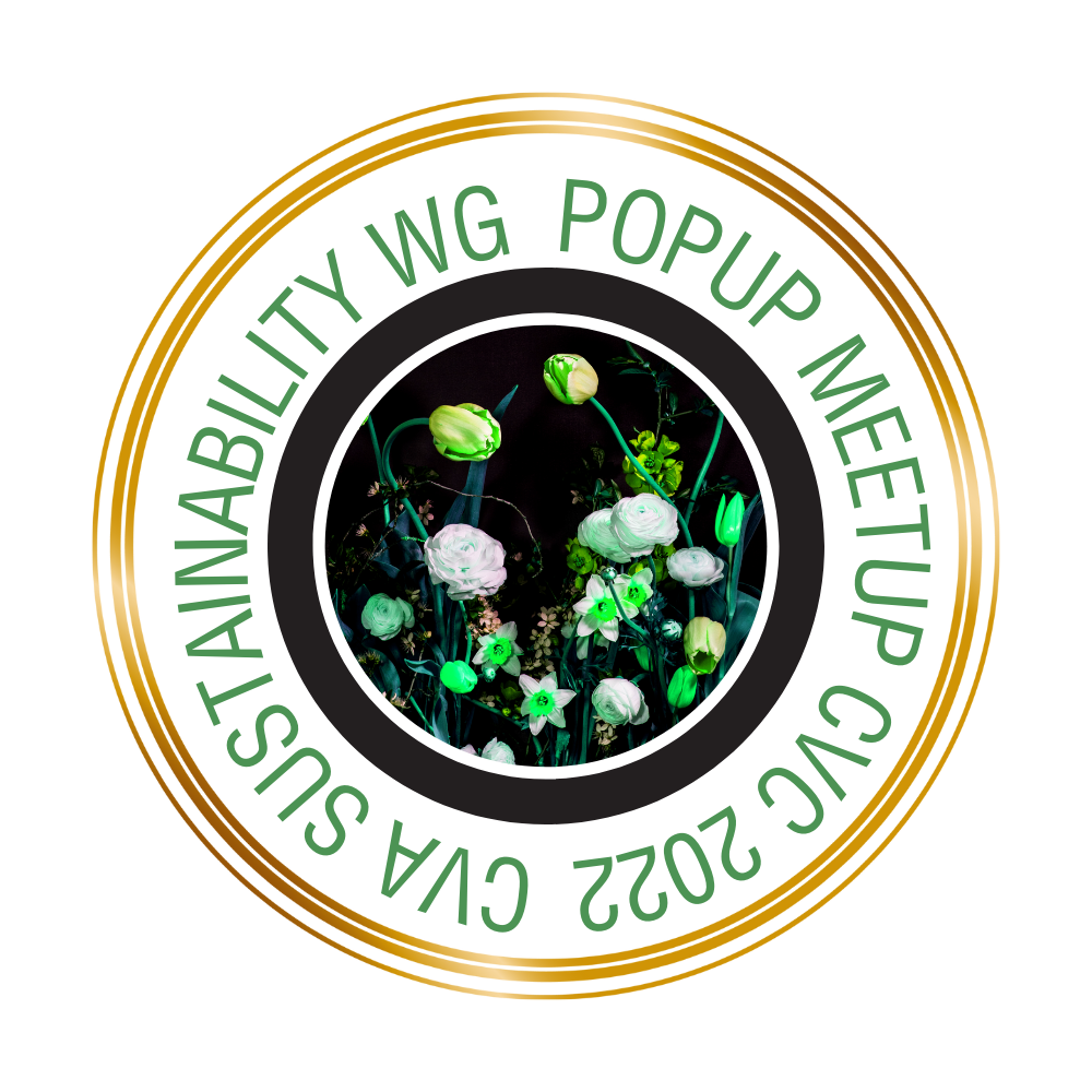 CVA Sustainability Working Group Pop-Up Meetup - CVC 2022 POAP image