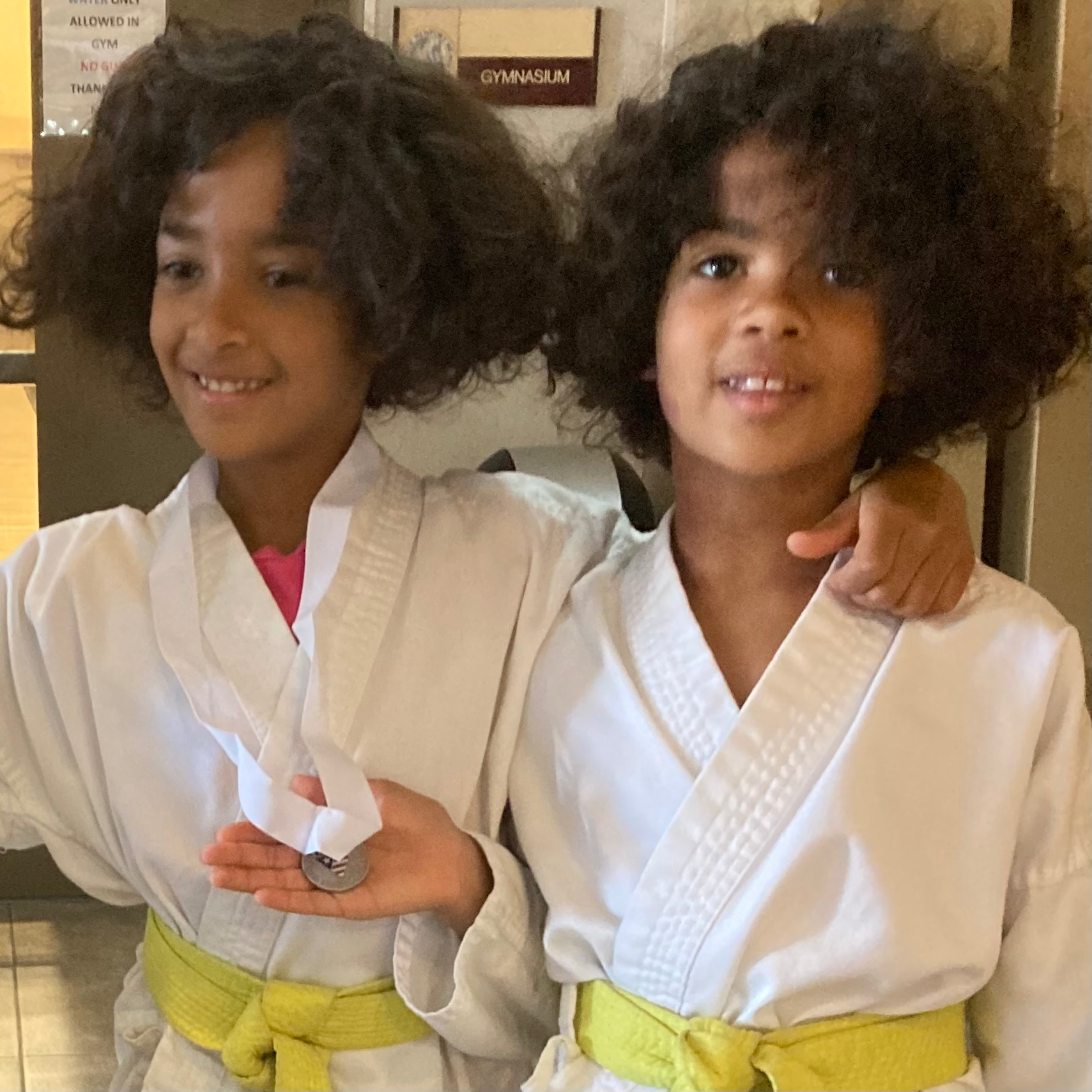 Nihon Karatedo Tournament drop image