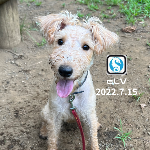 【第2回】Web3.0の話をしよう！(NFT編) POAP image