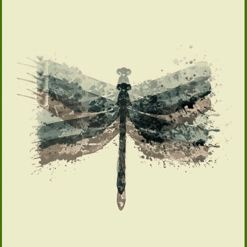 Dragonfly Doc POAP image