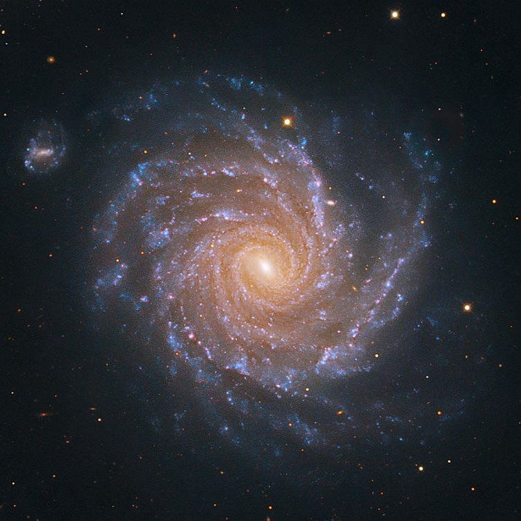 Participou da fundação do Laboratório Holon POAP image