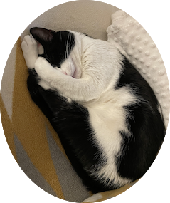 Eni's 32nd bday POAP image