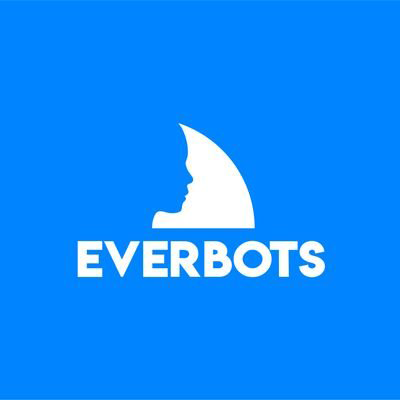Everbots main team POAP image