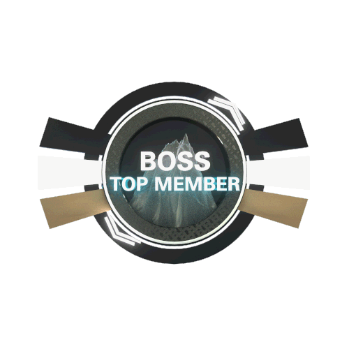 BOSS Top Member Token POAP image
