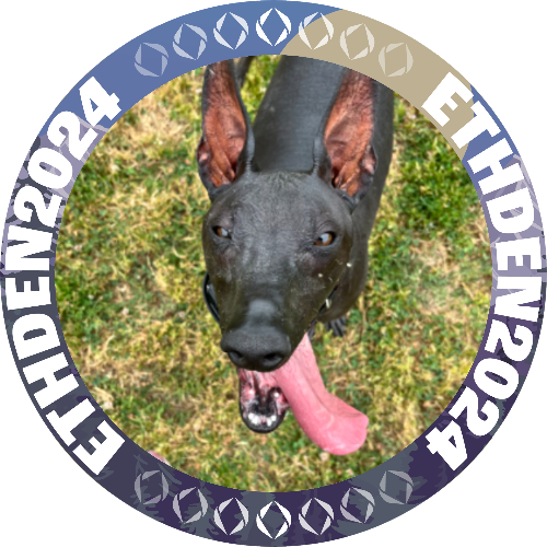 I met benny.eth at ETHDenver 2024 POAP image