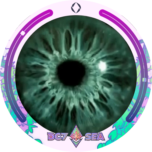 I met potuz.eth at Devcon 2024 POAP image