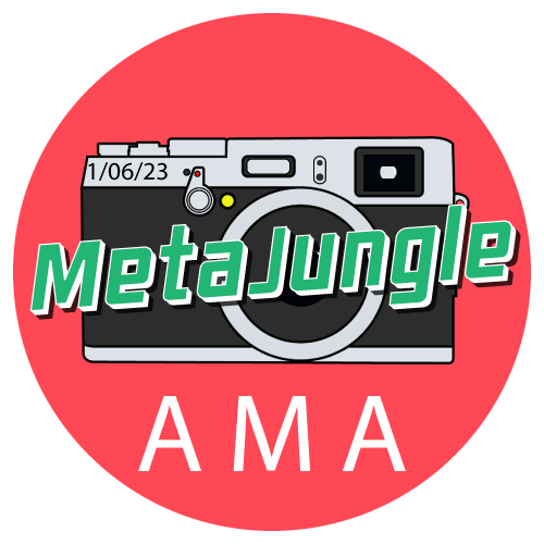 Metajungle Artist Feedback AMA - Photography #60 POAP image