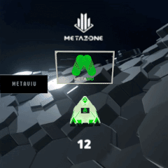 MetaZone.io Community Call 12: META Drop Mondays with MetaViu POAP image