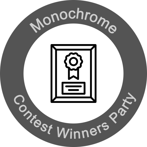 Monochrome Contest Winners Part POAP POAP image