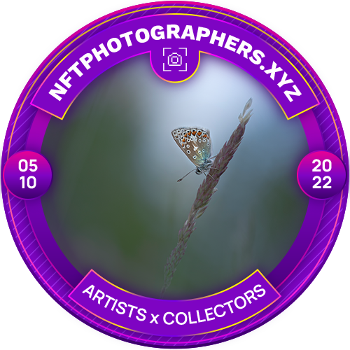 NFTPhotographers.xyz | Twitter Spaces #17 POAP image
