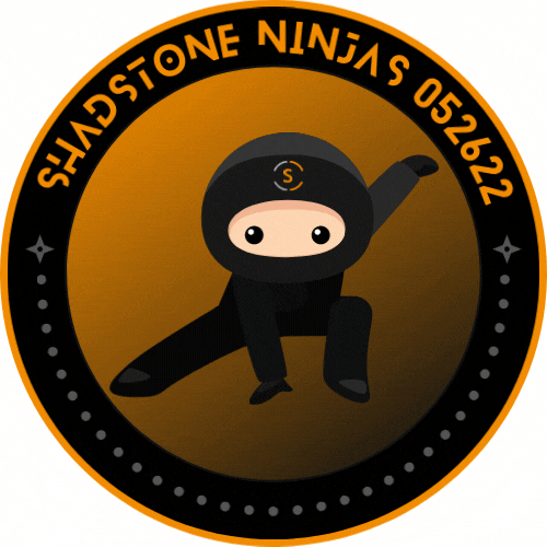 Shadstone Ninjas Council 05.26.22  POAP image