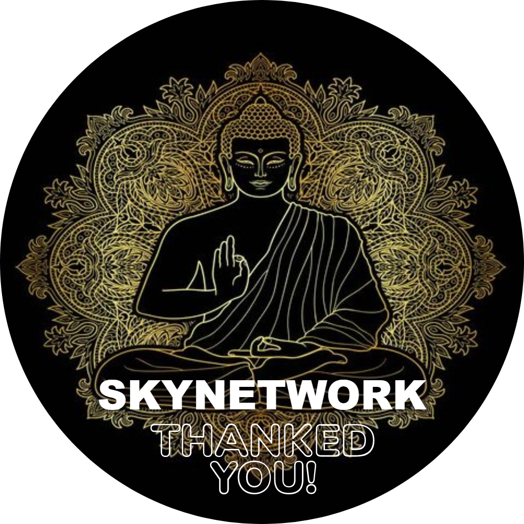 SkyNetwork thanked you in November 2022 POAP image