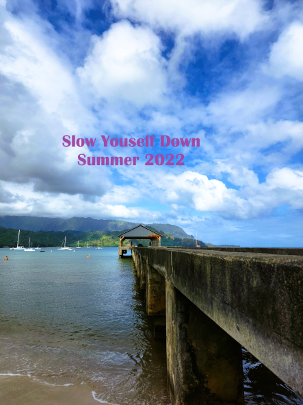 Slow Yourself Down Summer 2022 Hanalei POAP image