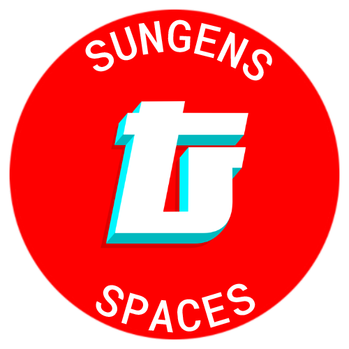 ☀️ SunGens | Twitter Spaces | 12.21.21 POAP image