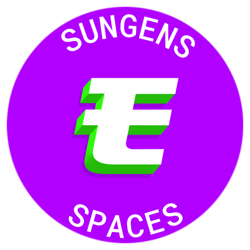 ☀️ SunGens | Twitter Spaces | 12.22.21 POAP image