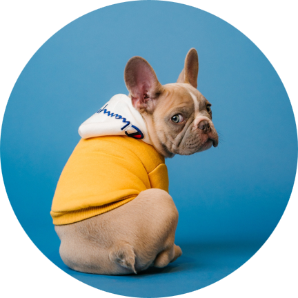 Test run for larger events POAP image