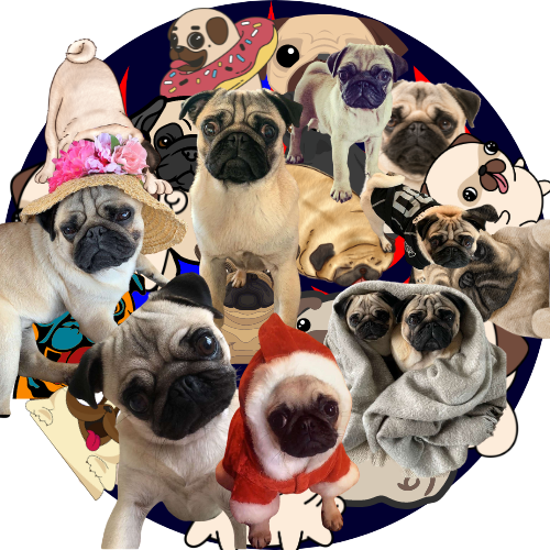 The Corrupted Syndicate Games - Fight Night - Vol. 3 POAP image