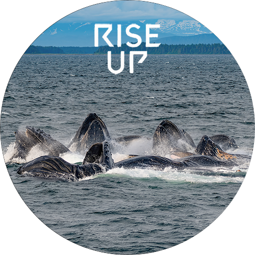 The Corrupted Syndicate Games - Fight Night - Vol. 4 POAP image