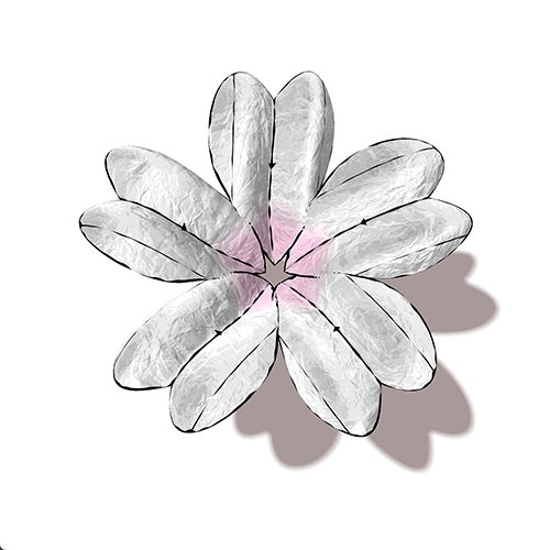 To celebrate the participation for the first exhibition "MOMENT". POAP image