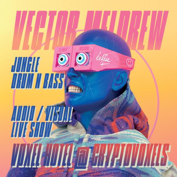 Vector Meldrew | Jungle & Drum n Bass | Audio Visual Live Show | Voxel Hotel  POAP image