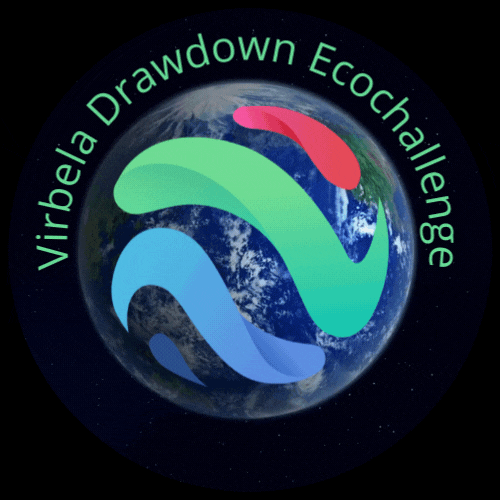 Virbela Drawdown Ecochallenge 2022 Winner: Squirrels POAP image