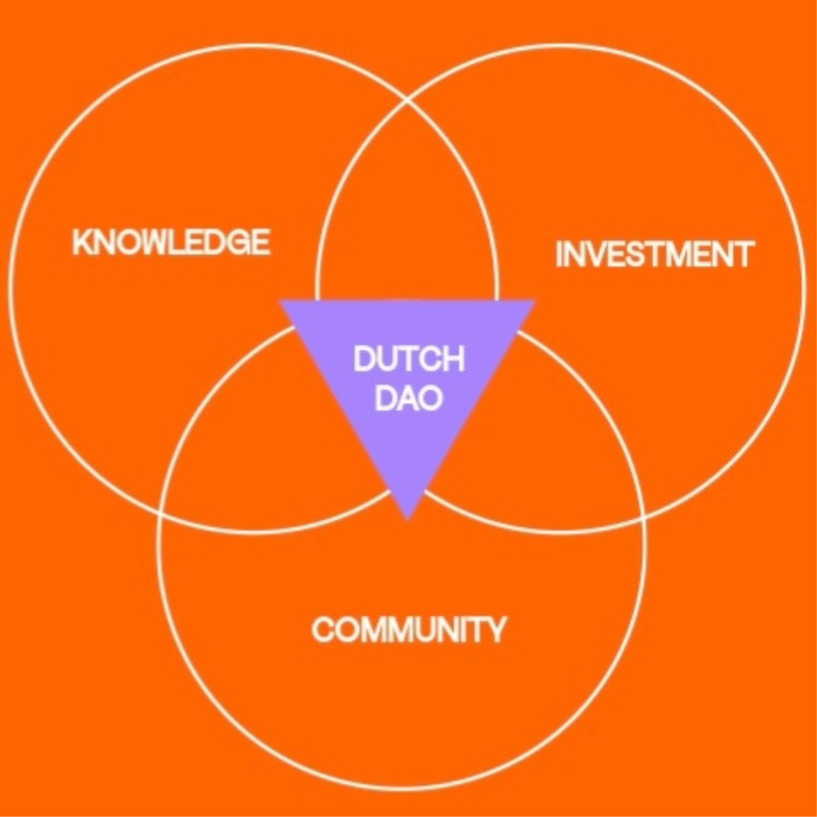 Vision Meeting Dutch DAO POAP image