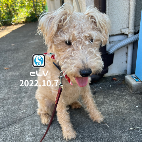 Web3.0の話をしよう！ #6 (初参加も歓迎の総括回) POAP image