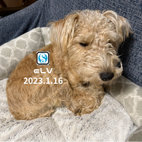 Web3の話をしよう！ #7 (DAO編) POAP image